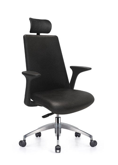 Creedence Ergonomic Leather Task Chair