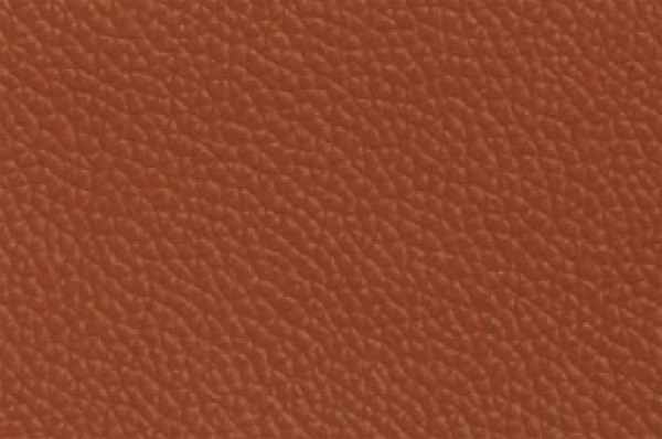 ECO leather